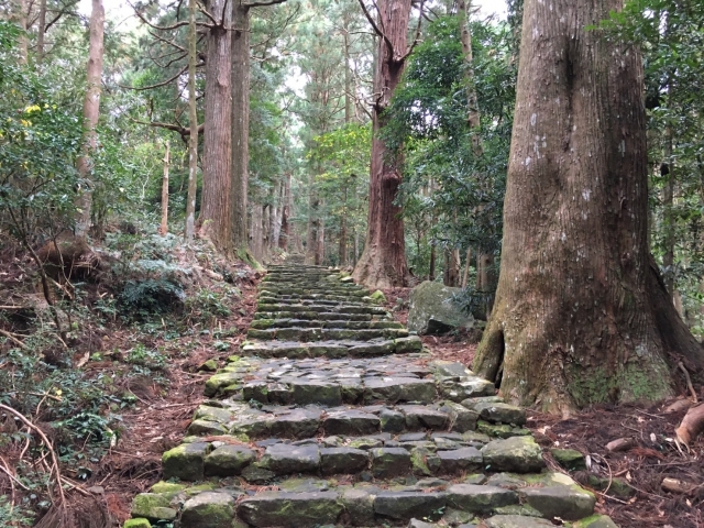 ダウンロード (10)